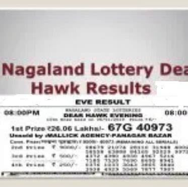 dear hawk 8pm